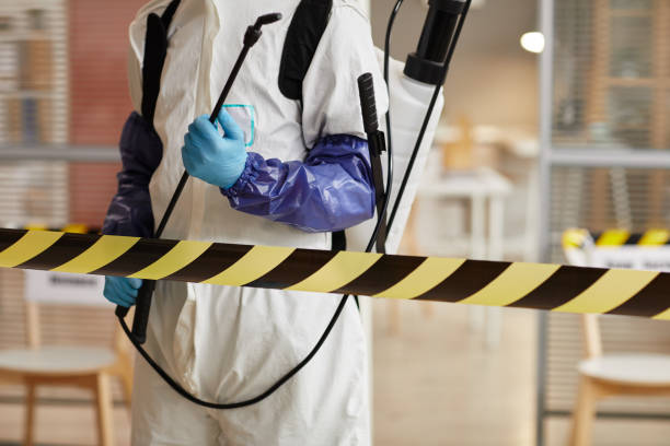 Professional Odor Removal technician working in Banquete, TX